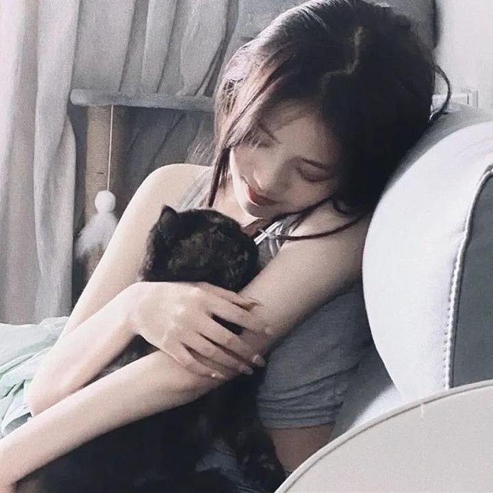 大唐狄公案